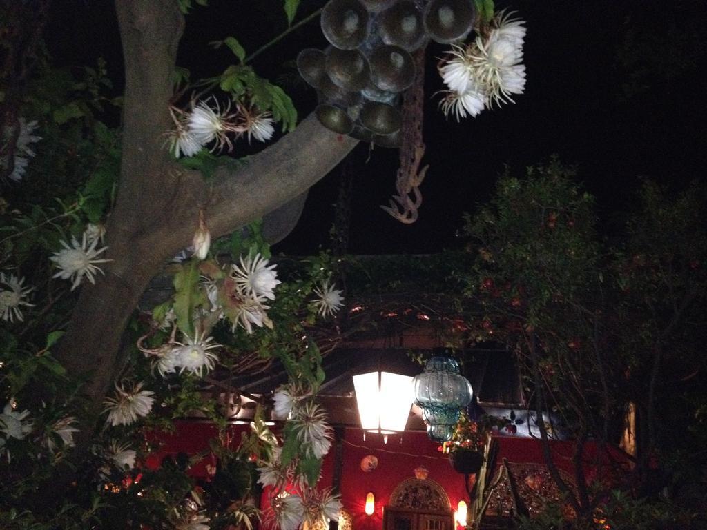 Casa De Las Flores Bed and Breakfast Tlaquepaque Zewnętrze zdjęcie
