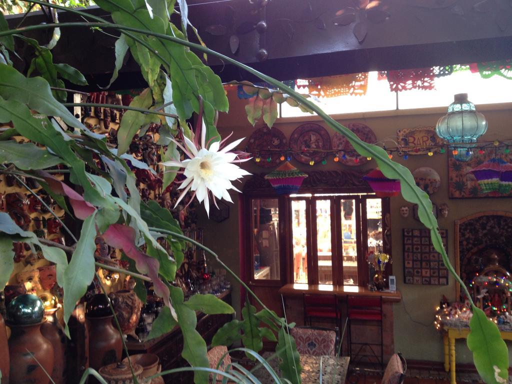 Casa De Las Flores Bed and Breakfast Tlaquepaque Zewnętrze zdjęcie