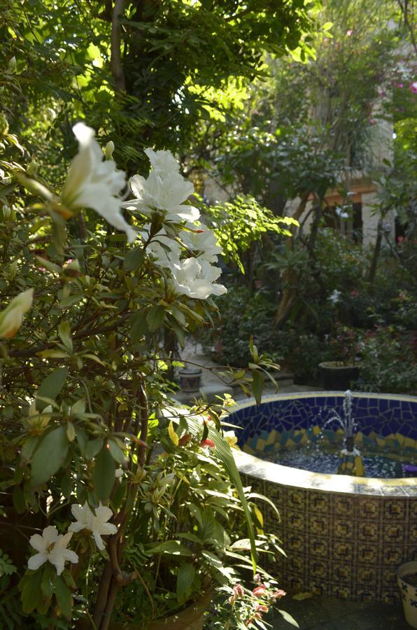 Casa De Las Flores Bed and Breakfast Tlaquepaque Zewnętrze zdjęcie