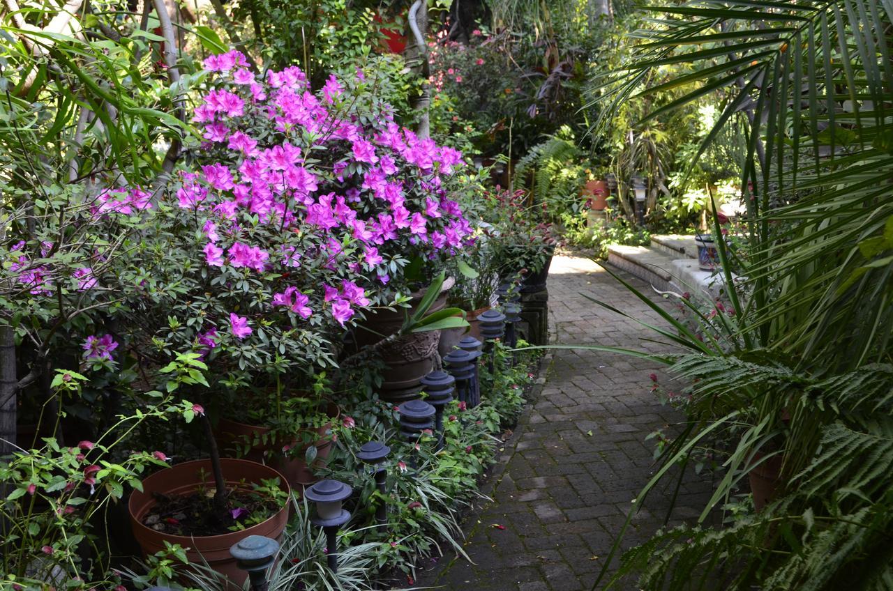 Casa De Las Flores Bed and Breakfast Tlaquepaque Zewnętrze zdjęcie